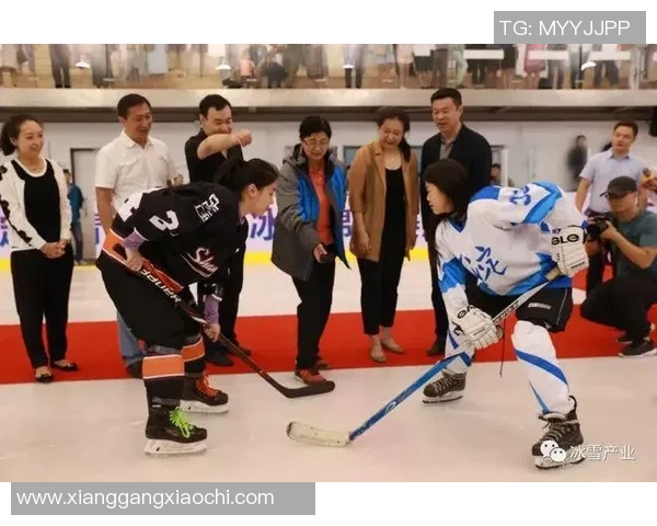 冰雪赛事越位规则详解及其对比赛影响的全面分析